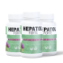 Hepatol Forte (2+1) FALAS 